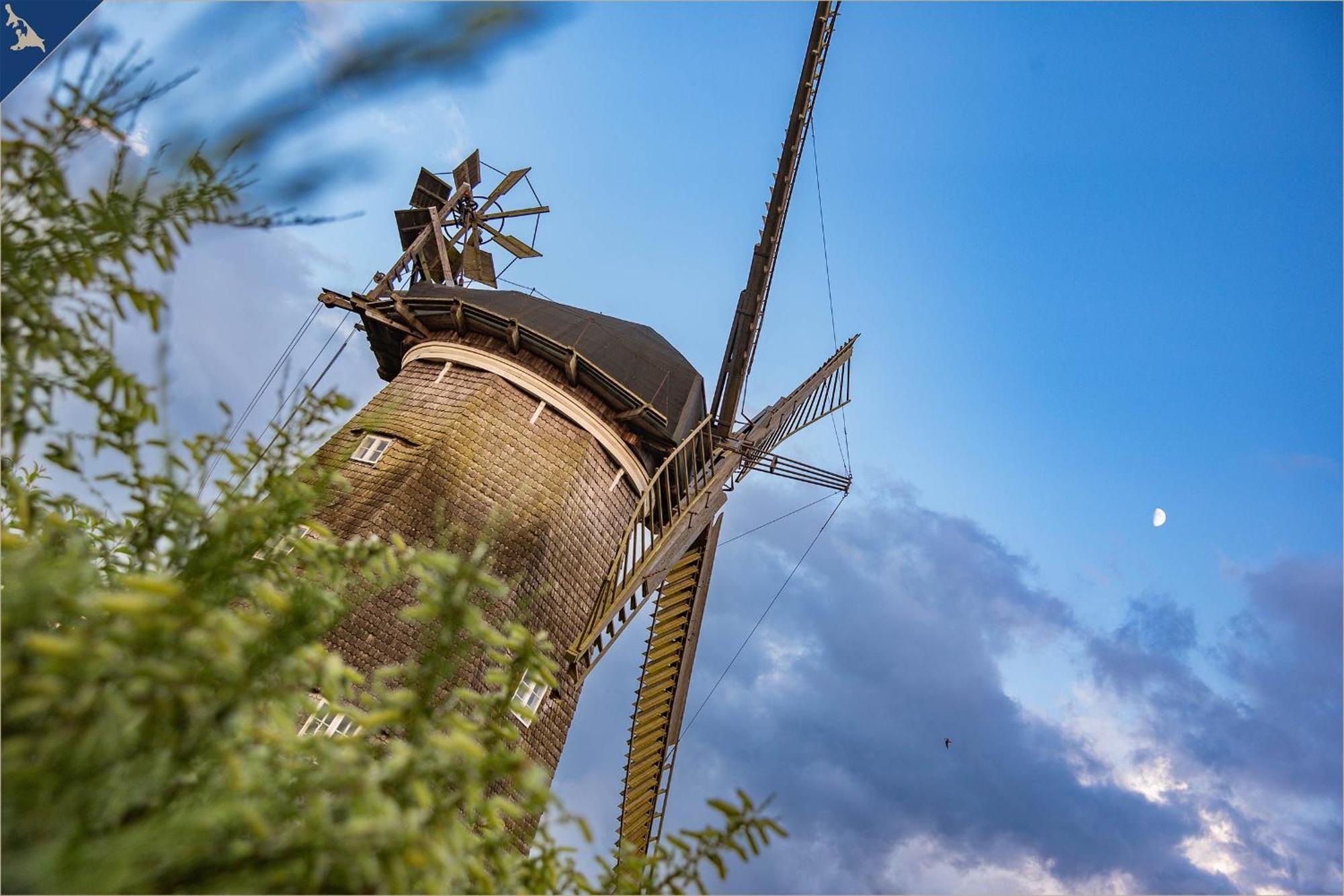 Waldsiedlung Dhh Waldhaus 6 Villa Korswandt Bagian luar foto