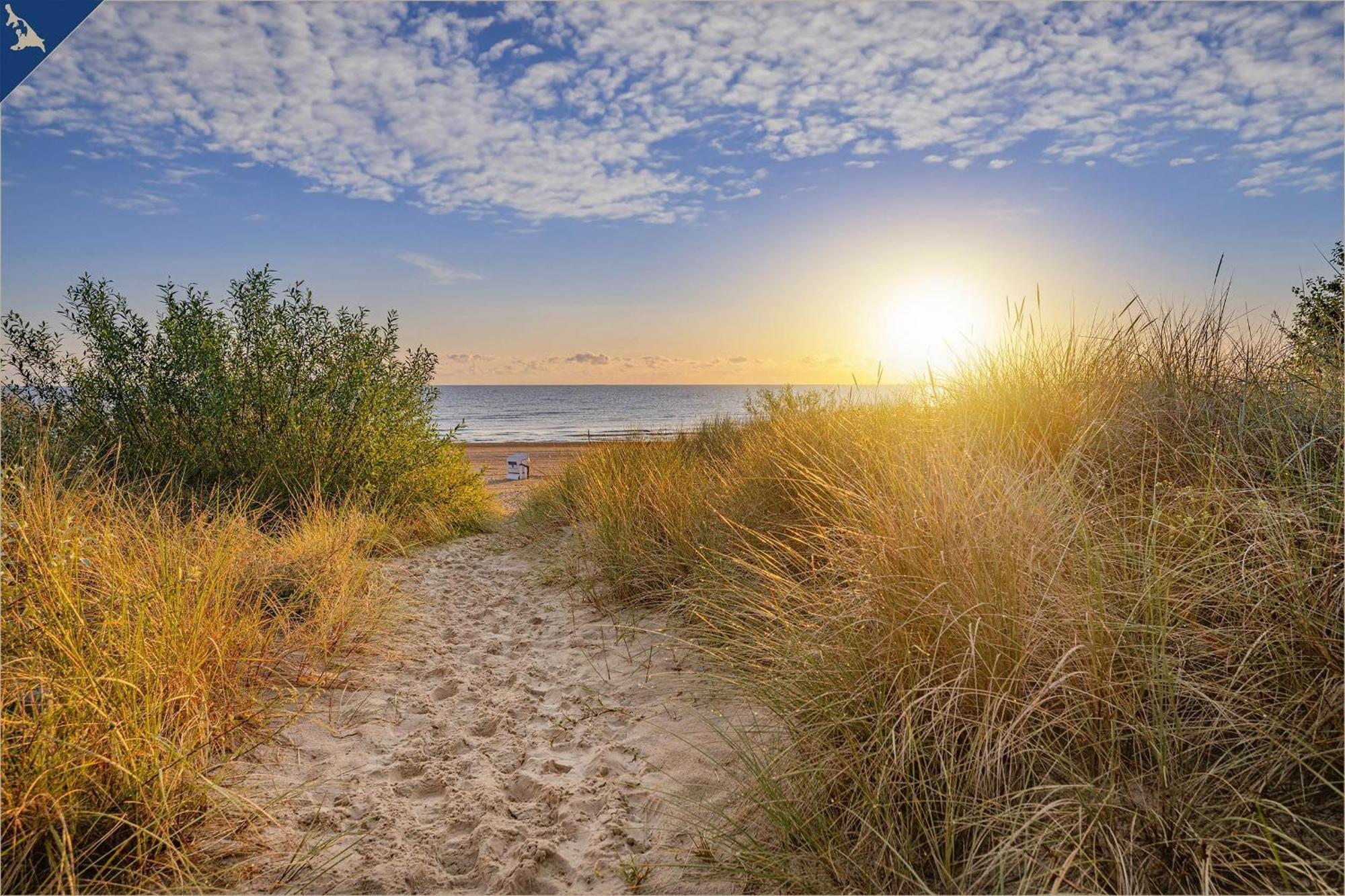 Waldsiedlung Dhh Waldhaus 6 Villa Korswandt Bagian luar foto